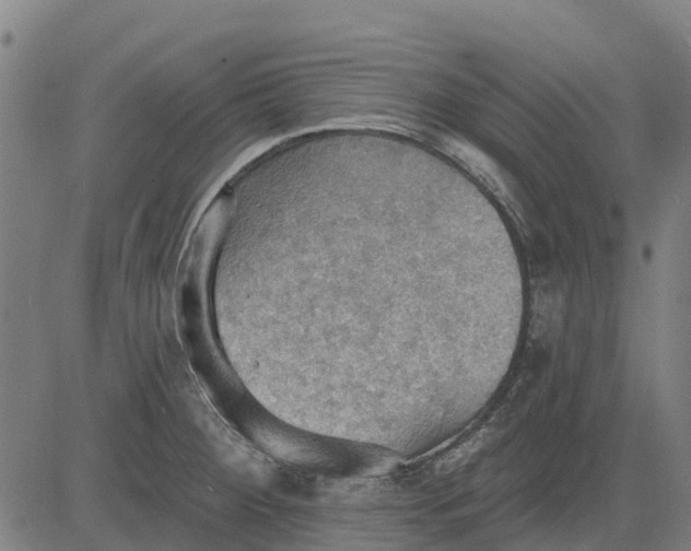 X0000084541284200703091644