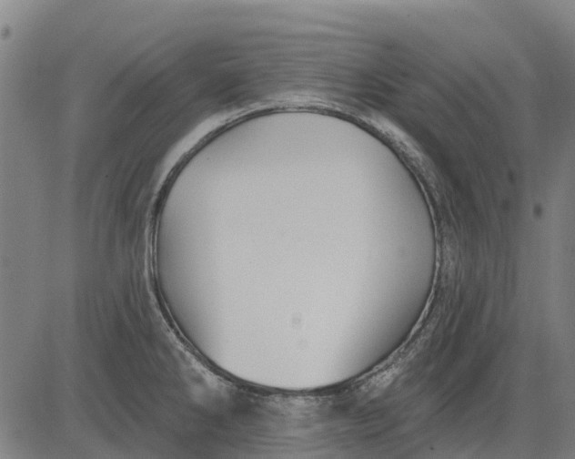 X0000084541286200703091644