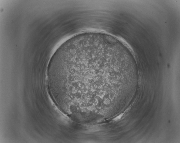 X0000084541287200703091644