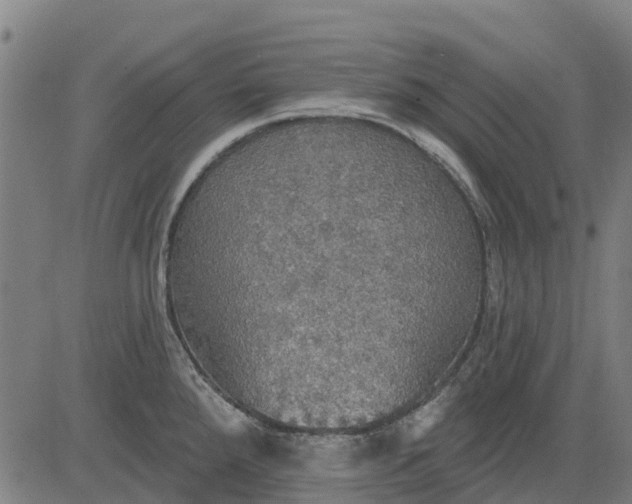 X0000084541288200703091644