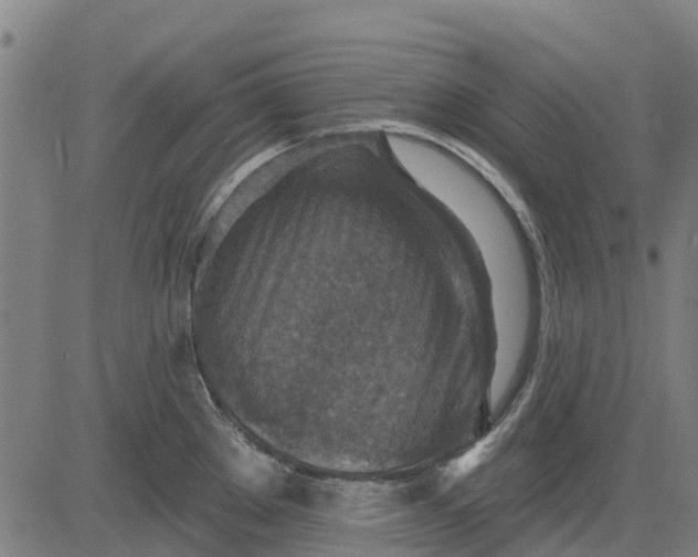 X0000084541289200703091644