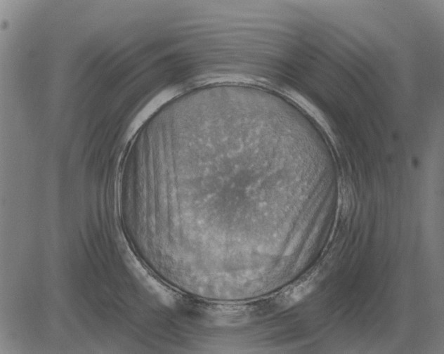 X0000084541290200703091644