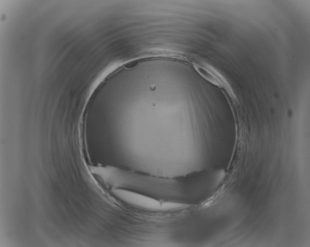 X0000084541291200703091644