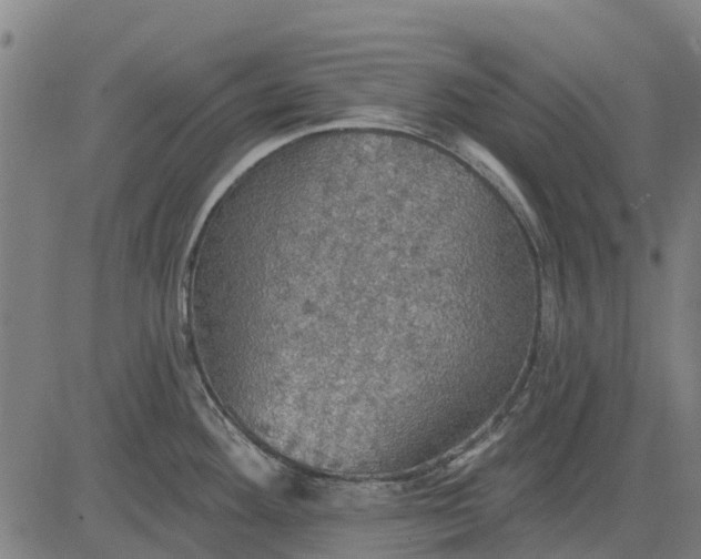 X0000084541292200703091644