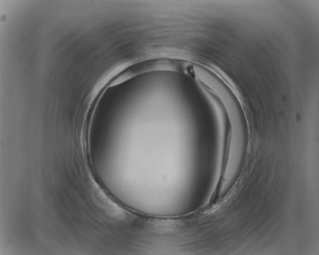 X0000084541293200703091644