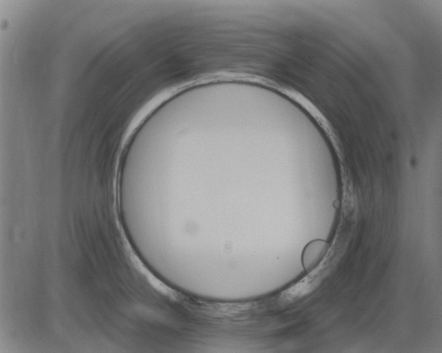 X0000084541294200703091644