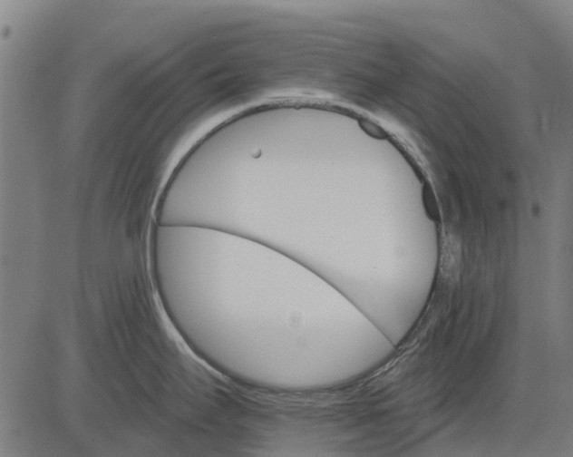 X0000084541295200703091644