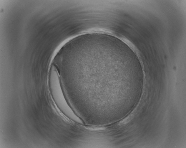 X0000084541296200703091644