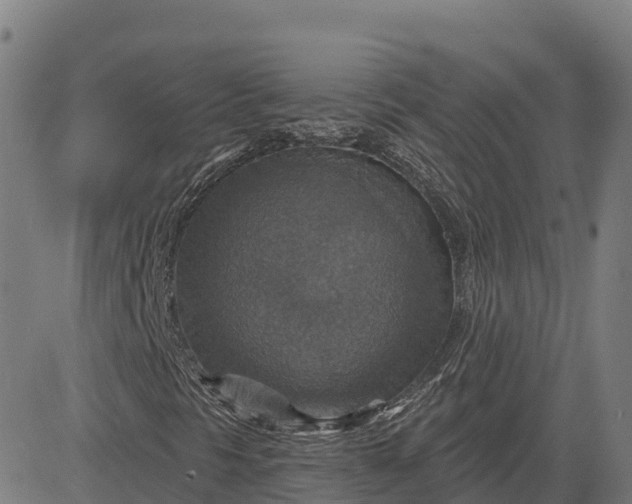 X0000084541297200703091643