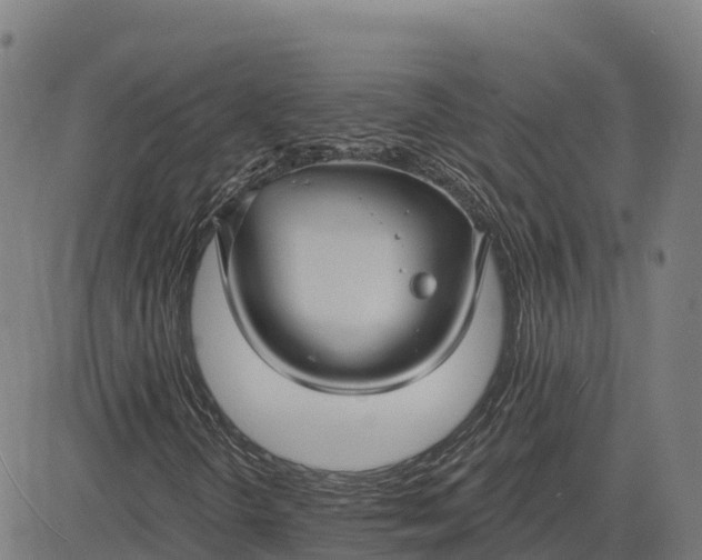 X0000084541298200703091643