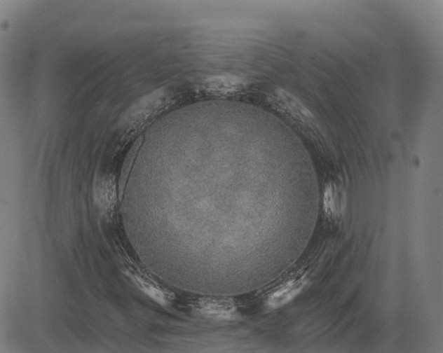 X0000084541299200703091643