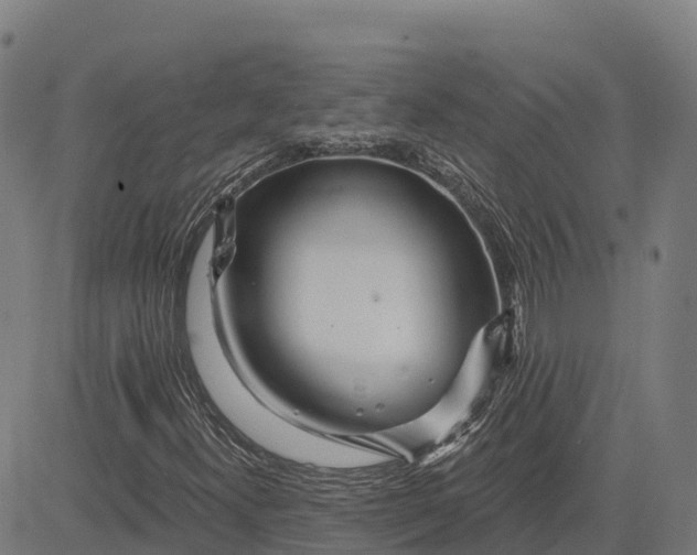 X0000084541300200703091643