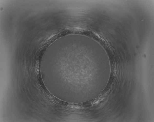 X0000084541301200703091643