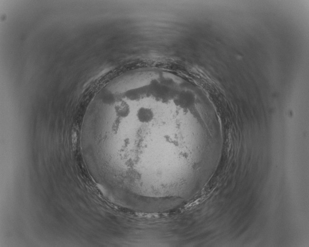 X0000084541302200703091643