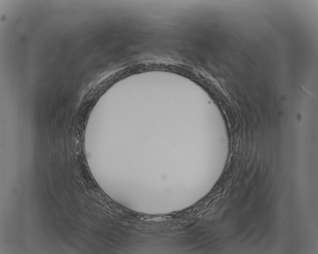 X0000084541303200703091643