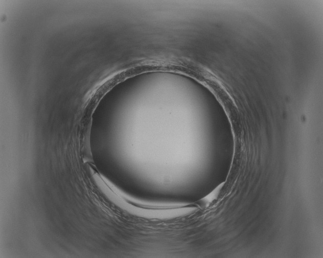 X0000084541304200703091643