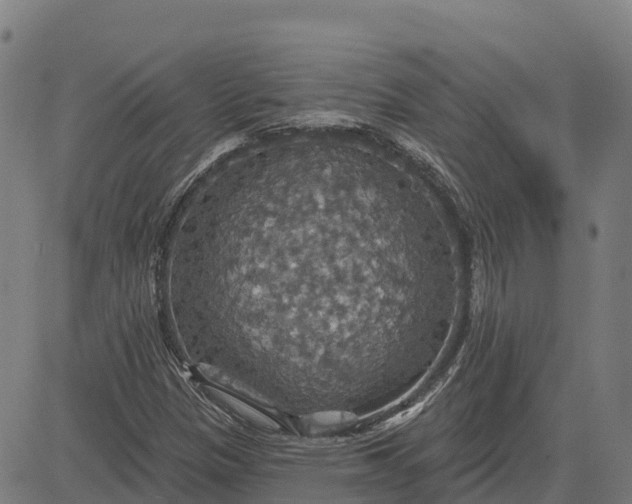 X0000084541305200703091643