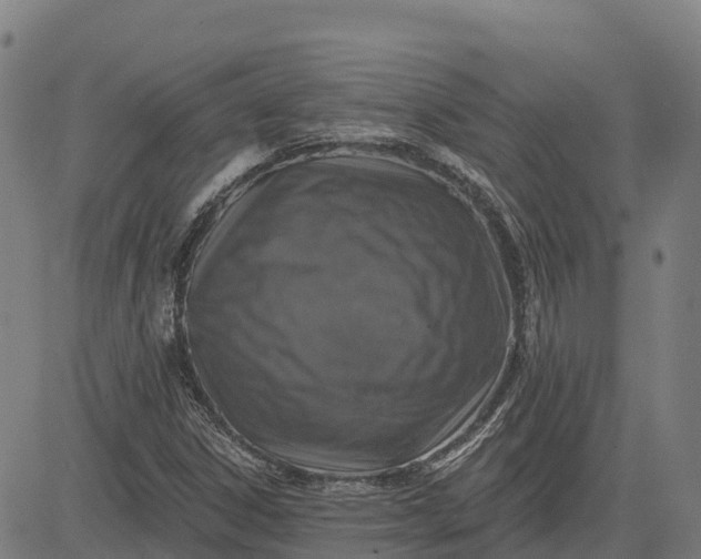 X0000084541306200703091643