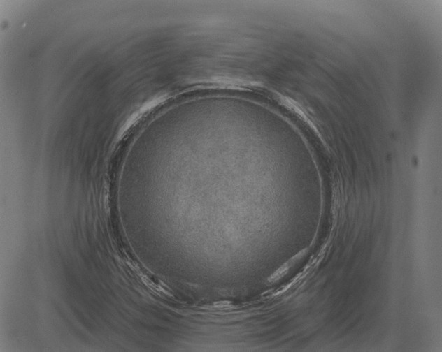 X0000084541307200703091643