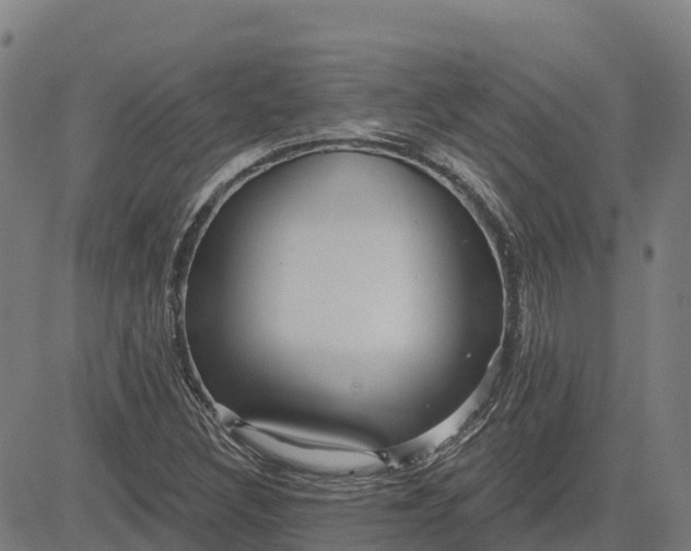 X0000084541308200703091643