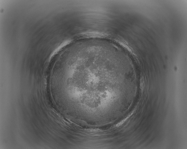 X0000084541309200703091643