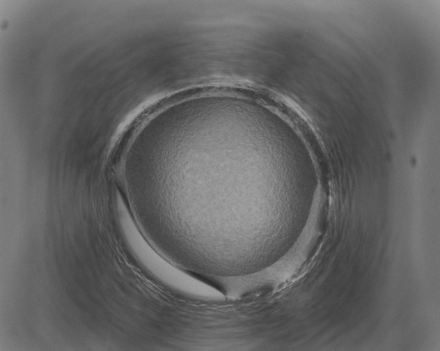 X0000084541310200703091643