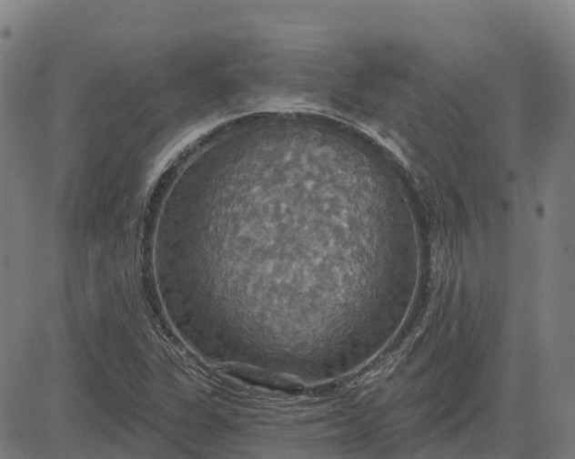 X0000084541311200703091643