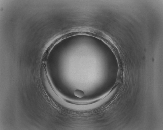 X0000084541312200703091643