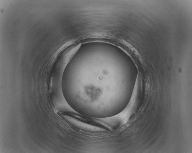 X0000084541314200703091643