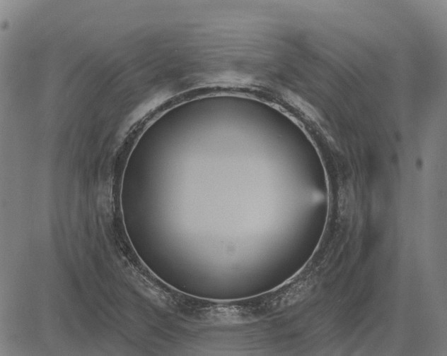 X0000084541315200703091643