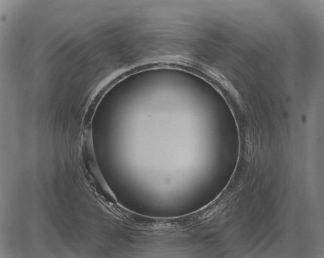 X0000084541316200703091643