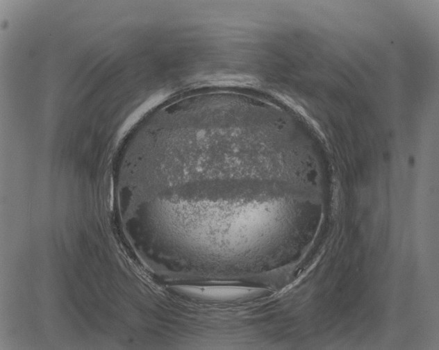 X0000084541317200703091643