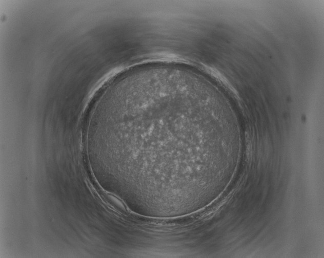 X0000084541318200703091643