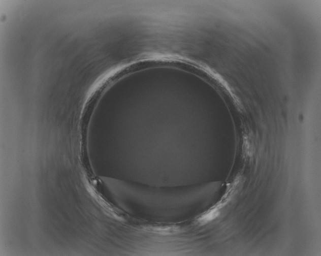 X0000084541319200703091643