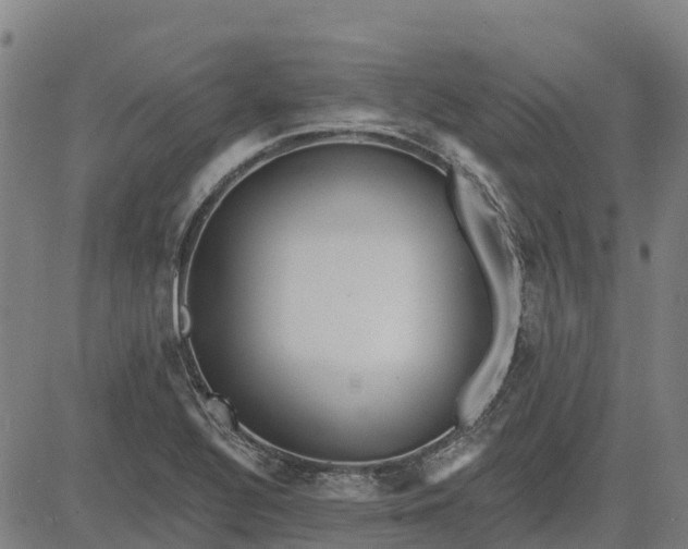 X0000084541320200703091643