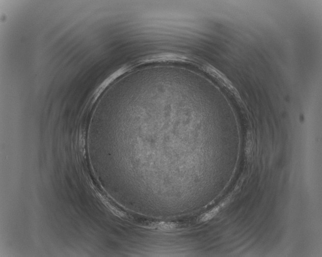 X0000084541321200703091643