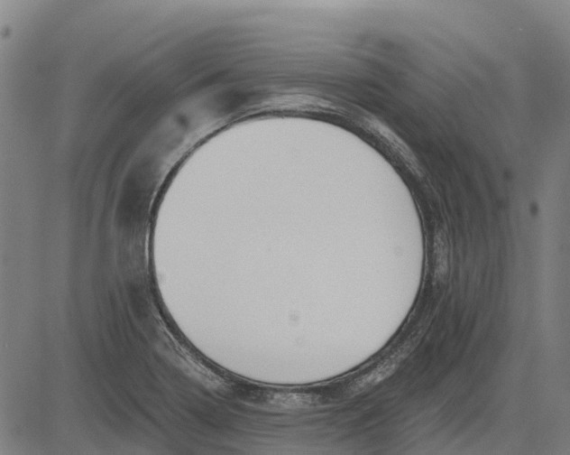 X0000084541322200703091644