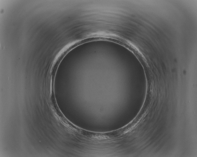 X0000084541323200703091644