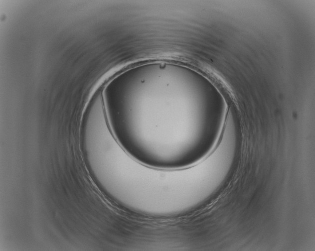 X0000084541324200703091644