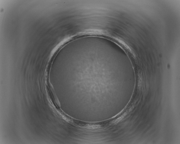 X0000084541325200703091644