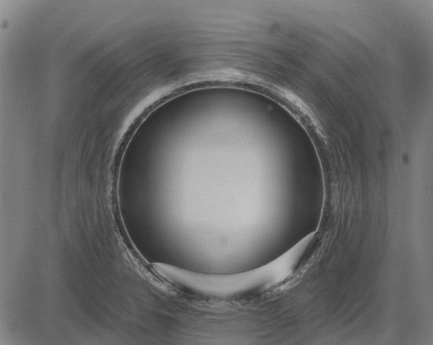 X0000084541326200703091644