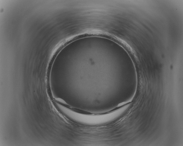 X0000084541327200703091644