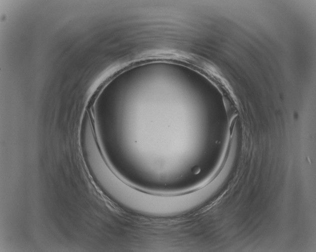 X0000084541328200703091644