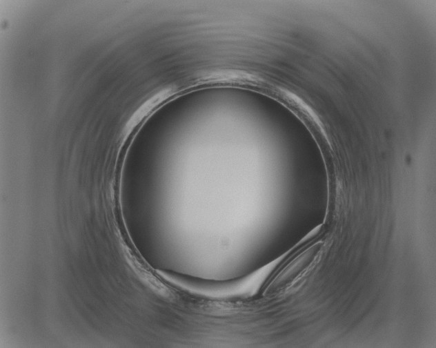 X0000084541330200703091644