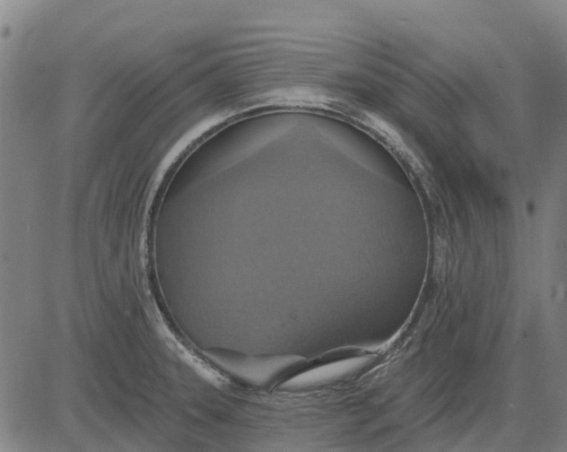 X0000084541331200703091644