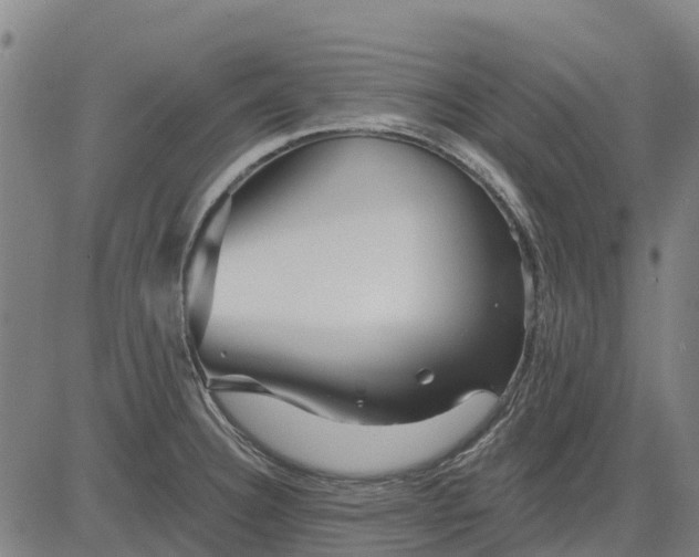 X0000084541332200703091644