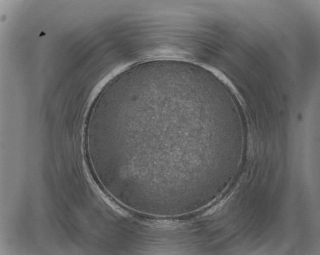 X0000084541333200703091644