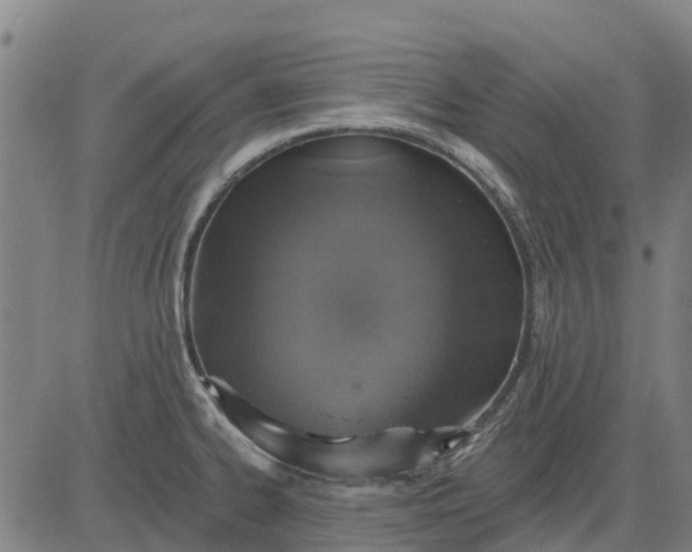 X0000084541334200703091644