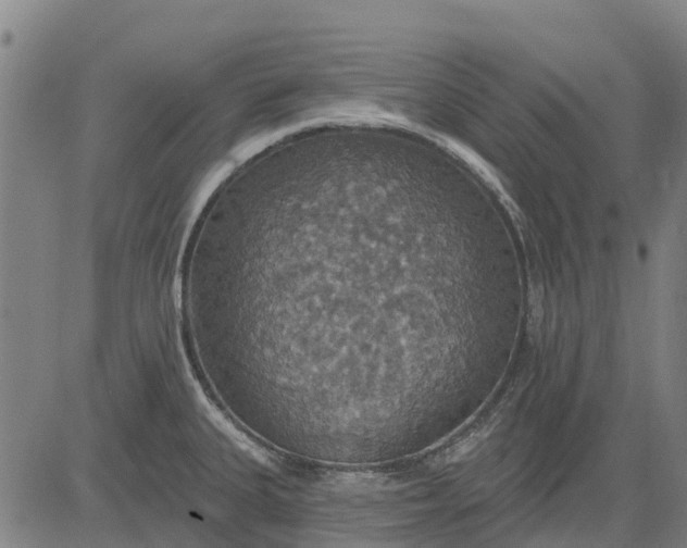 X0000084541335200703091644