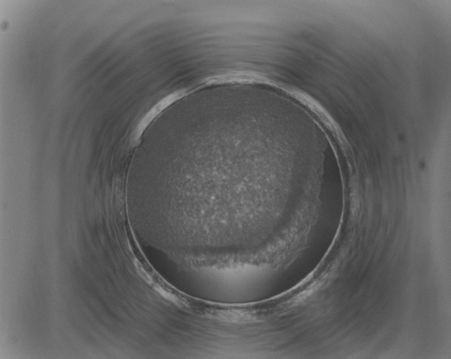 X0000084541337200703091644